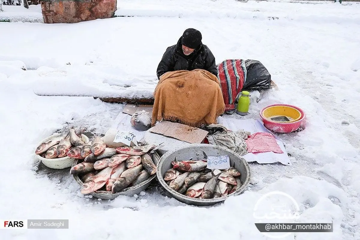 عکس: تصویری از یک پیرمرد ماهی فروش میان برفها در تبریز