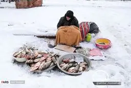 عکس: تصویری از یک پیرمرد ماهی فروش میان برفها در تبریز