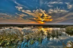 طبیعت تالاب هورالعظیم/ تصاویر