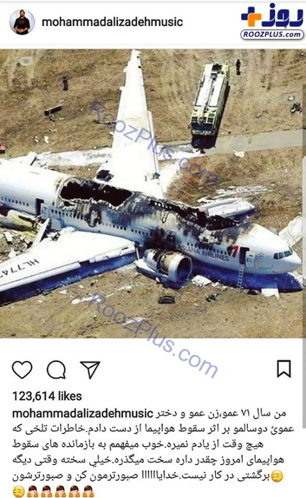 خواننده معروفی که عزیزانش را در سقوط هواپیما از دست داد/عکس