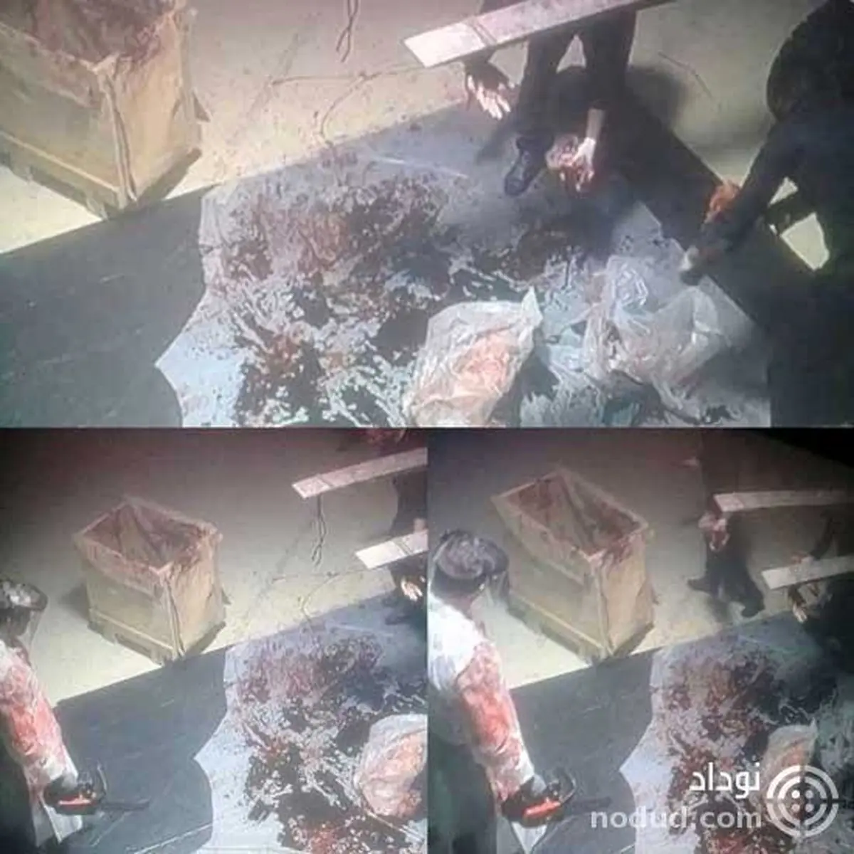 تکه های بدن جمال خاشقچی ! + عکس 16+