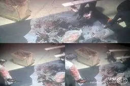 تکه های بدن جمال خاشقچی ! + عکس 16+