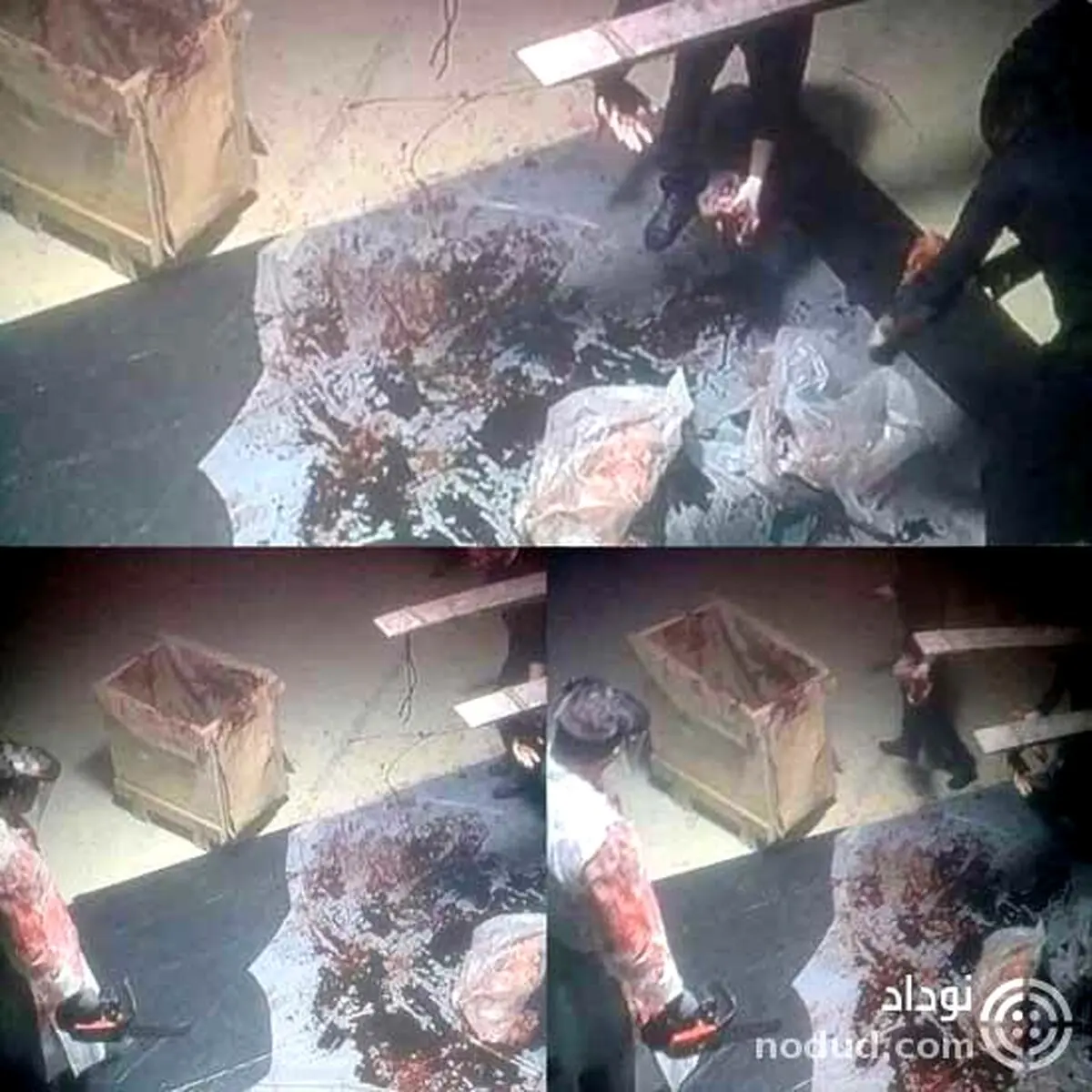 تکه های بدن جمال خاشقچی ! + عکس 16+