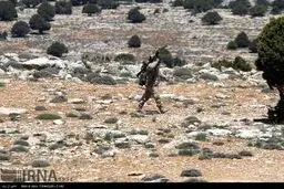 مناطق آزاد شده القلمون‎/ تصاویر