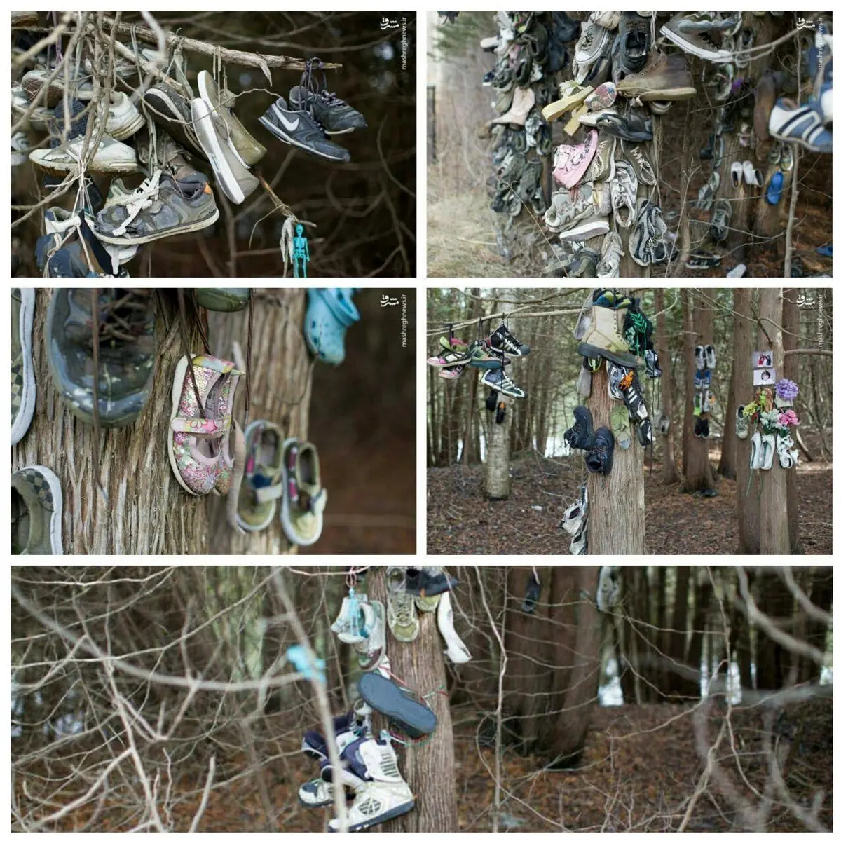 تصویری از قبرستان کفش‌ها در کانادا