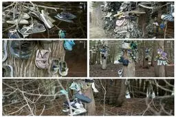 تصویری از قبرستان کفش‌ها در کانادا