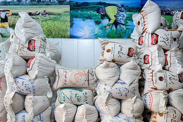 فاجعه فروش برنج تقلبی در بازار + فیلم تعزیرات