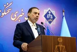 جهانگیر: نتیجه بازجویی‌ها درباره قتل دانشجوی دانشگاه تهران اعلام می‌شود