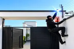 فنس الکتریکی چیست و چگونه کار میکند؟ بررسی کاربردها و نقات ضعف فنس الکتریکی