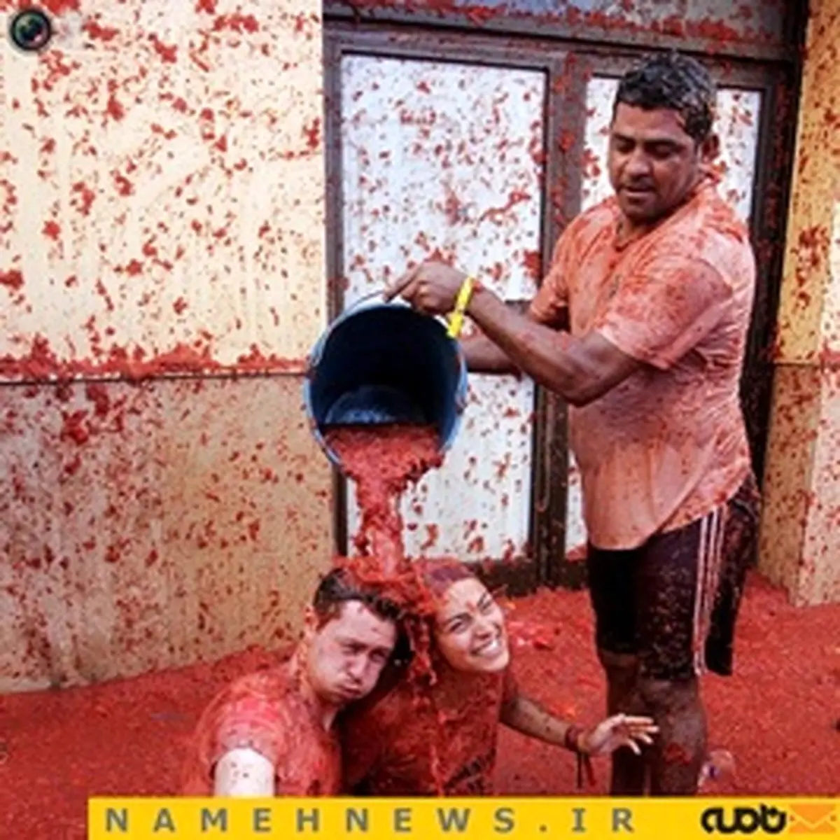 نبرد خونین گوجه فرنگی+تصاویر