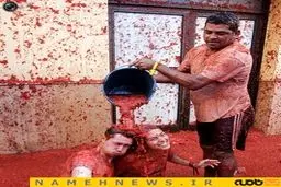 نبرد خونین گوجه فرنگی+تصاویر