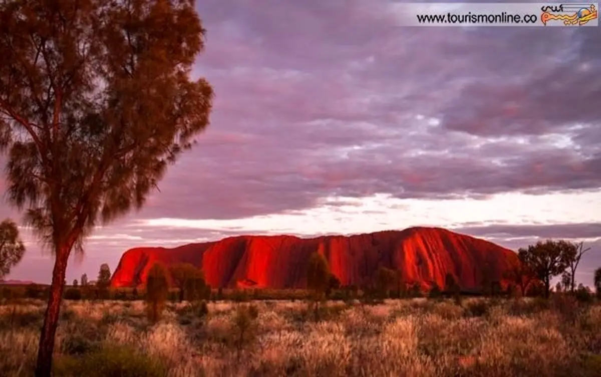 آبشاری عجیب و متفاوت در استرالیا/عکس