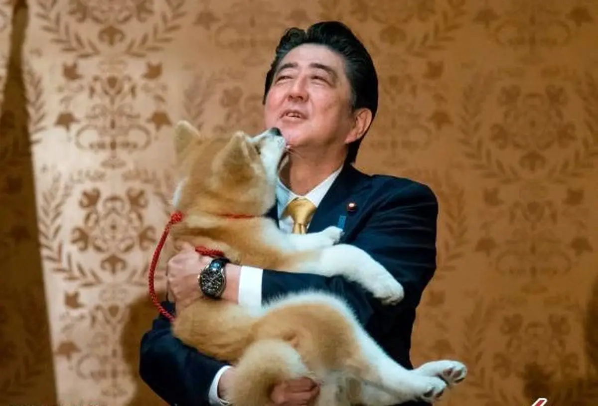 هدیه متفاوت پوتین به نخست وزیر ژاپن در کرملین /تصاویر