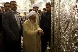 سفر آیت الله جنتی به عراق/عکس