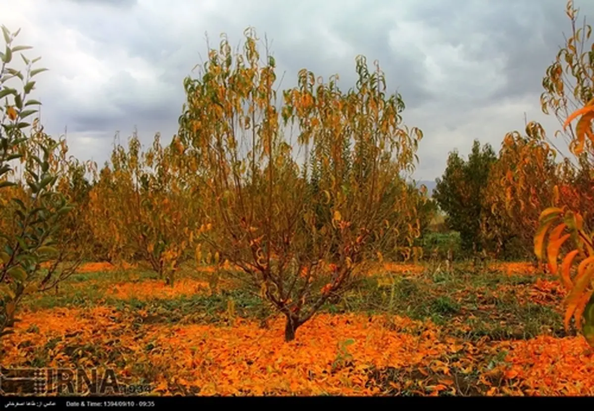 پاییز در ایران/تصاویر