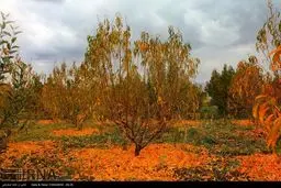 پاییز در ایران/تصاویر