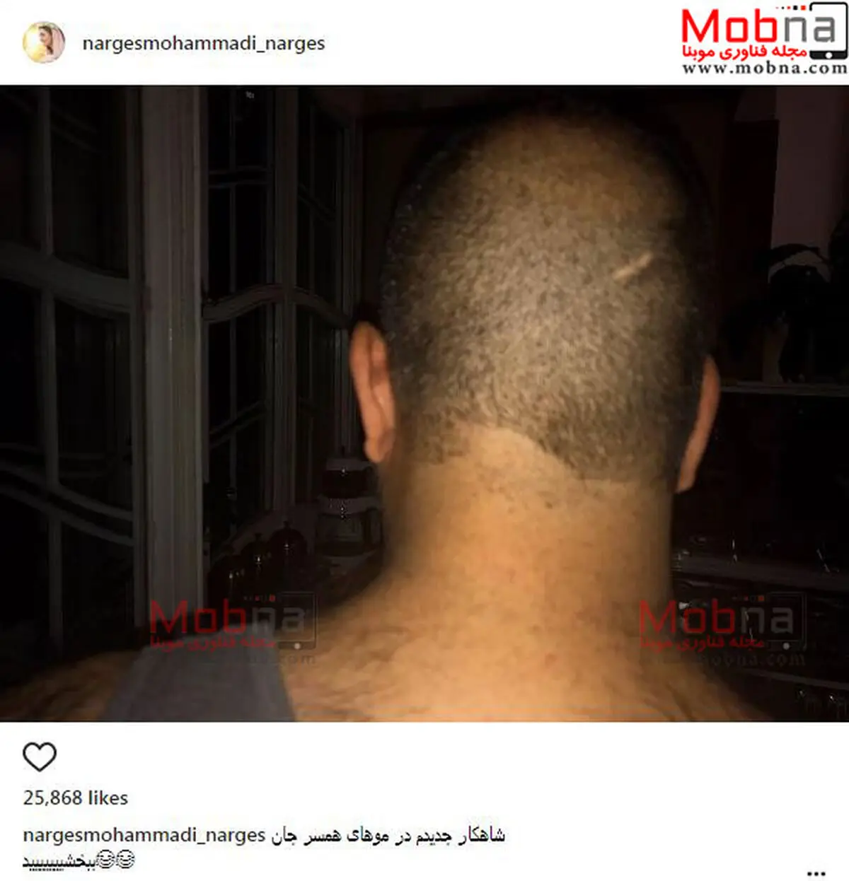 شاهکار نرگس محمدی هنگام اصلاح موی سر همسرش! /عکس