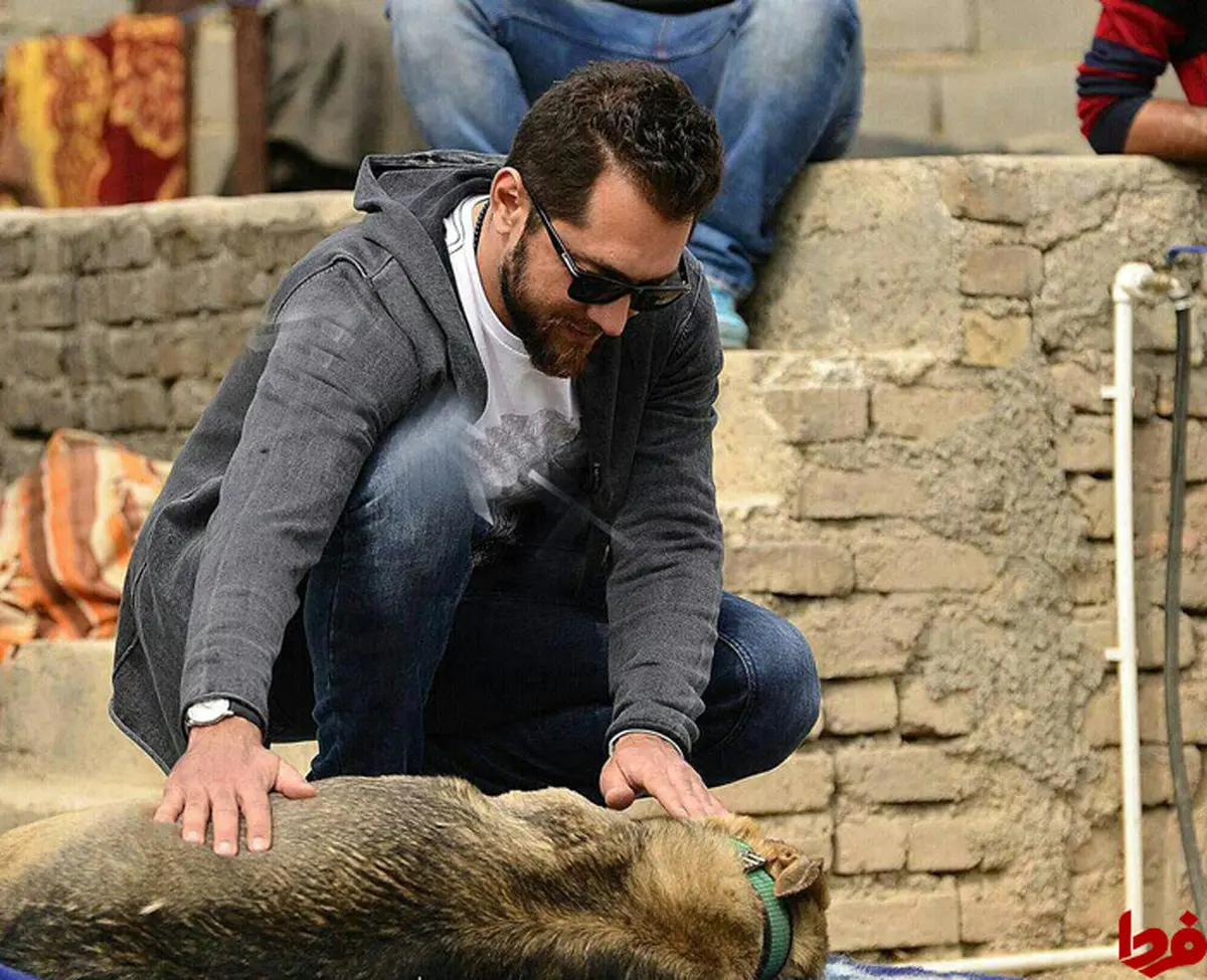 وقتی بهرام رادان حیوان بی‌سرپرست را نوازش می‌کند/ عکس