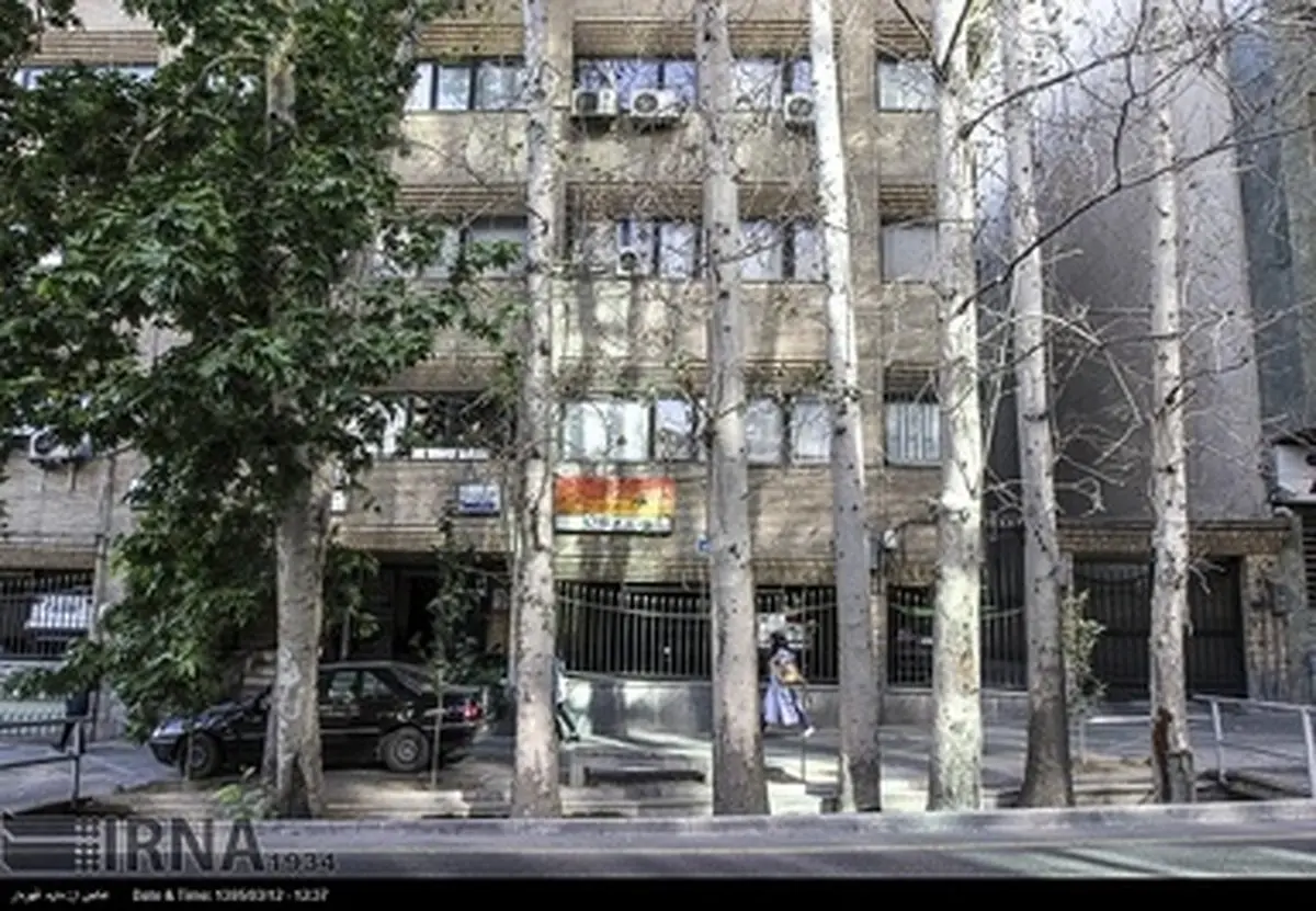 چنارهای خشک شده در خیابان ولی عصر/ تصاویر