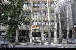 چنارهای خشک شده در خیابان ولی عصر/ تصاویر