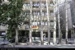 چنارهای خشک شده در خیابان ولی عصر/ تصاویر