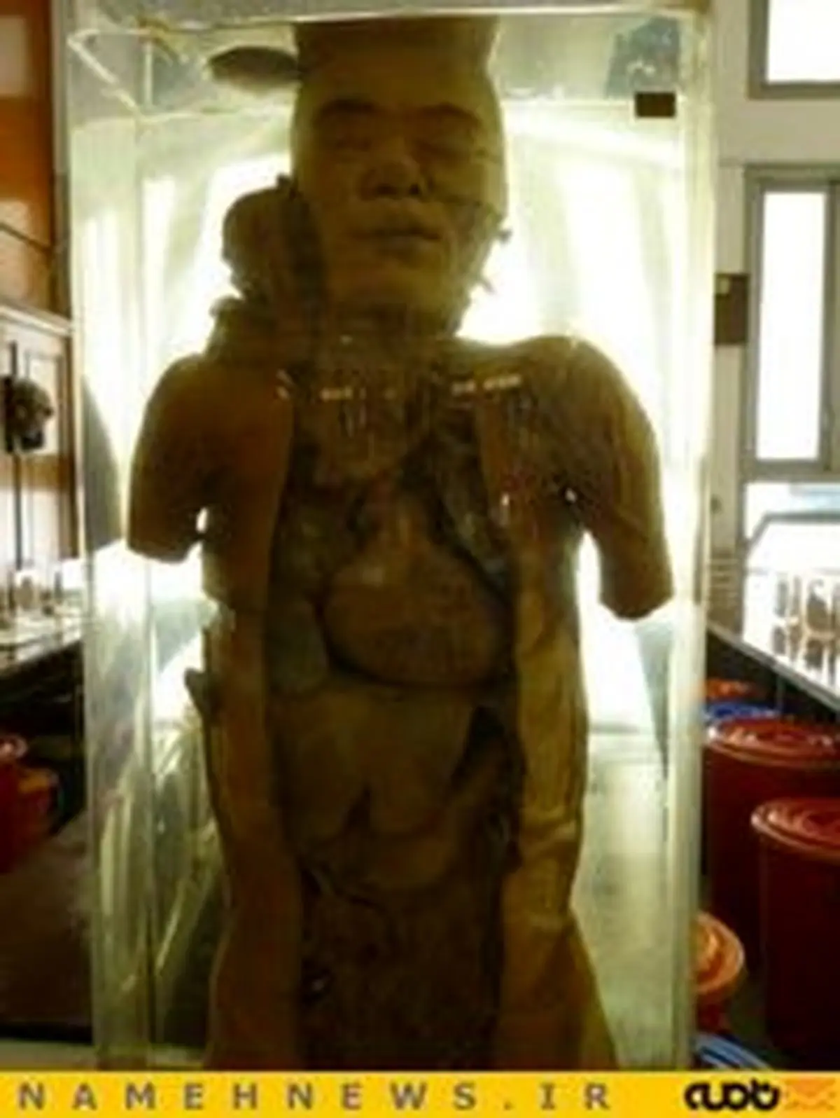 موزه‌ای برای سلاخی انسان‌های خاص /تصاویر+18