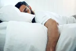 تست شخصیت‌شناسی/ خوابیدنِ‌تان با کدام حیوان مطابقت دارد؟