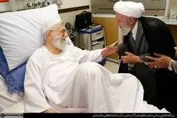 عیادت آیت‌الله ناصری دولت‌آبادی از رهبر انقلاب/ تصاویر