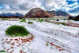 برف عربستان را سفیدپوش کرد/عکس