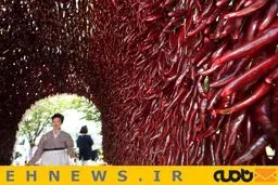 جشنواره تند و تیز / عکس