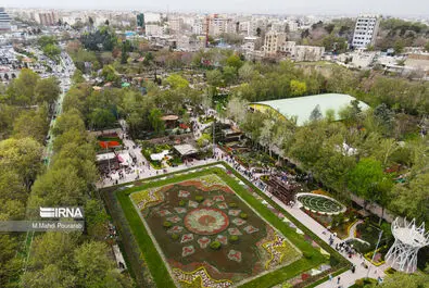جشنواره لاله ها 