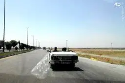 پیکان مدل تابستانه!/ عکس
