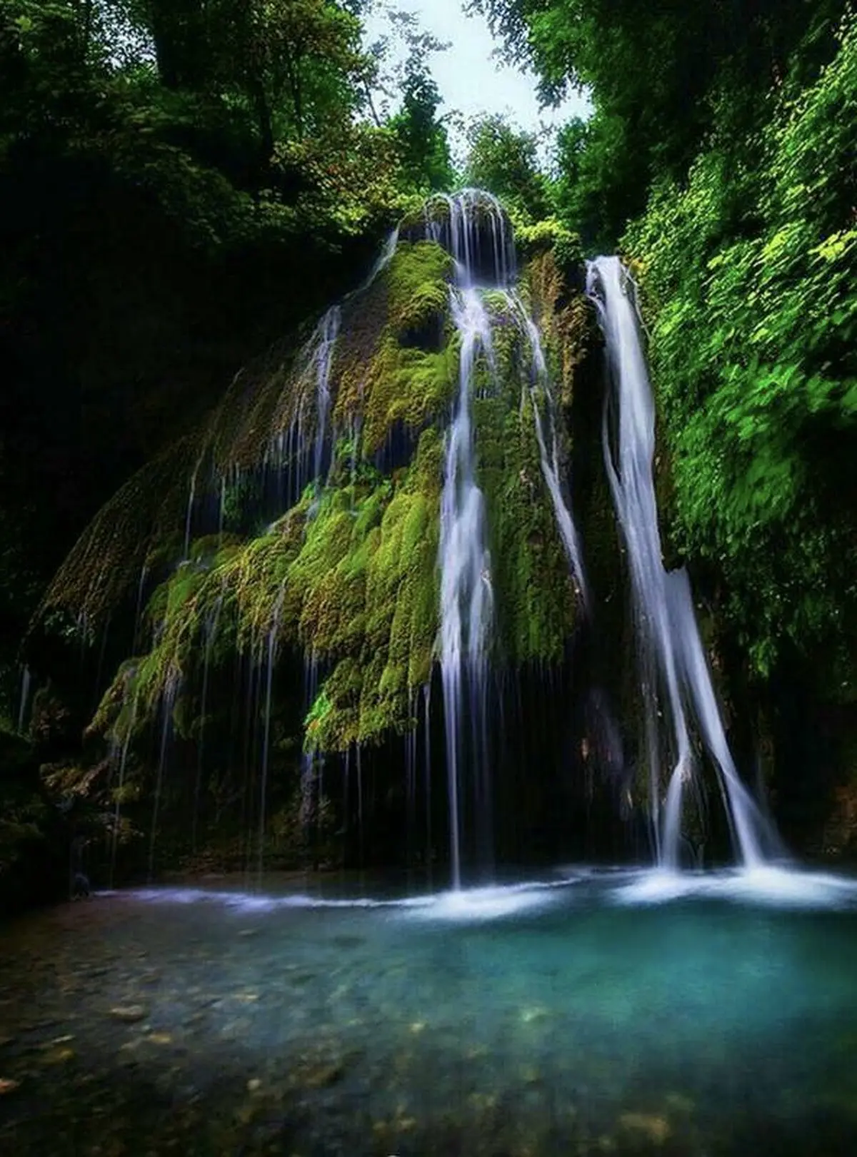 نمایی فوق العاده زیبا از تنها آبشار خزه‌ای ایران/ عکس