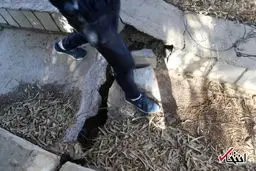 شکاف روی سد بر اثر زلزله غرب کشور/تصاویر