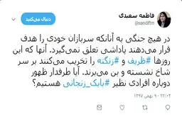 انتقاد نماینده تهران از مخالفان زنگنه و ظریف؛ فاطمه سعیدی: در هیچ جنگی به کسانی که سربازان خود را هدف می گیرند پاداش نمی دهند/ طرفدار ظهور افرادی مثل بابک زنجانی هستید؟