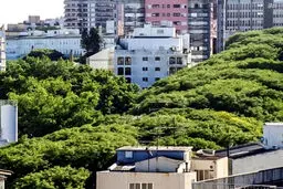 زیباترین خیابان جهان/ تصاویر