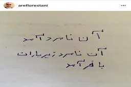 آخرین پست ایستاگرامی عارف لرستانی و کنایه به یک نامزد انتخاباتی/عکس