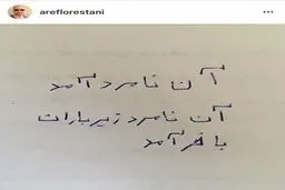 آخرین پست ایستاگرامی عارف لرستانی و کنایه به یک نامزد انتخاباتی/عکس