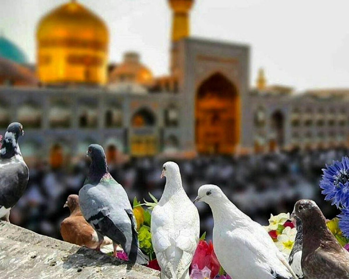 مزایای خرید بلیط رفت و برگشت مشهد چیست؟