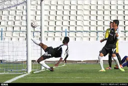 عکس/ این توپ گل شده است؟