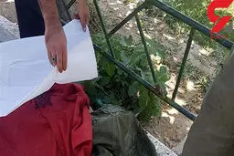 جزئیات کشف ۳ جنازه از زیرآوار بانکی در نسیم‌شهر