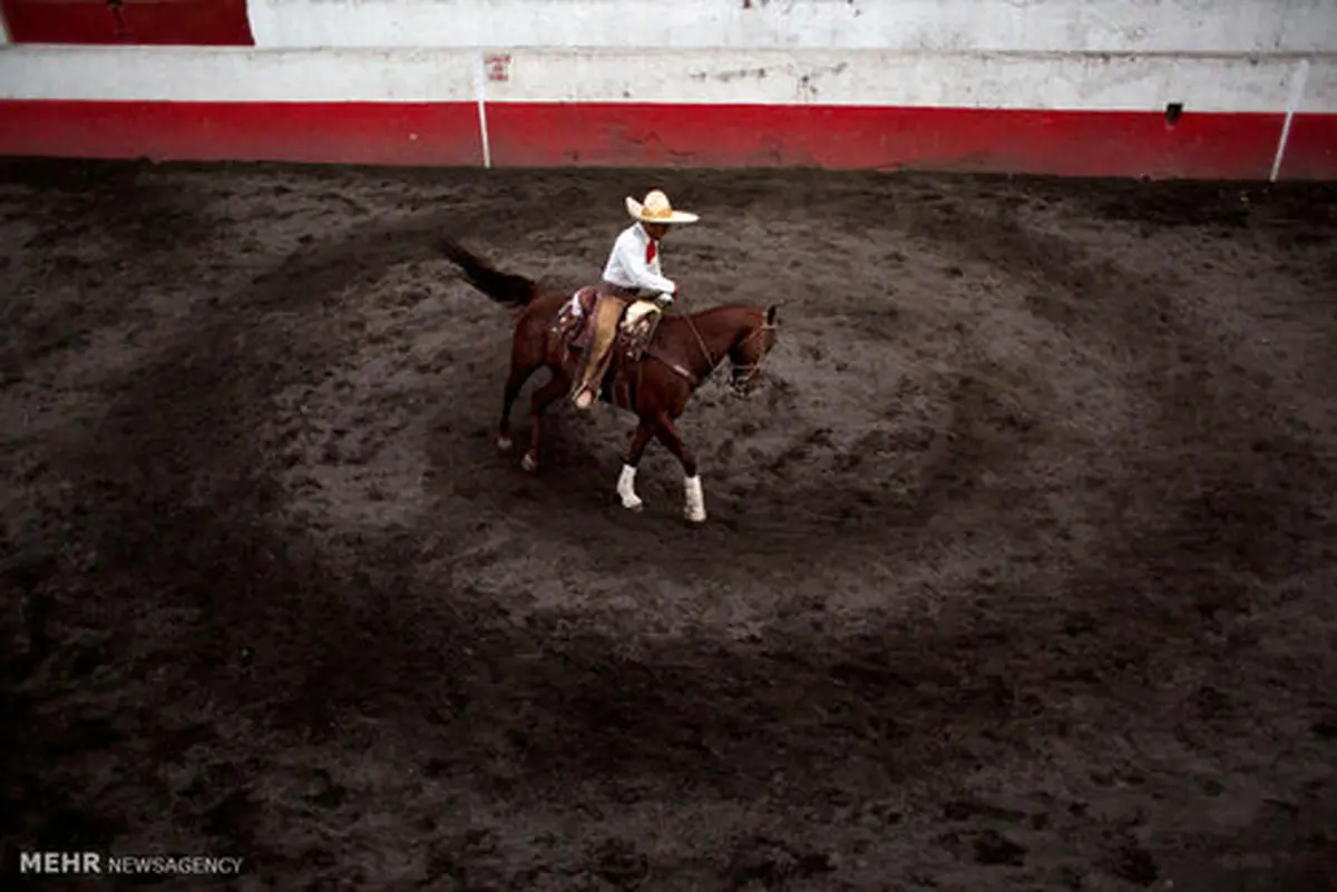 گاوبازی؛ سنت قدیمی مکزیکی ها (عکس)