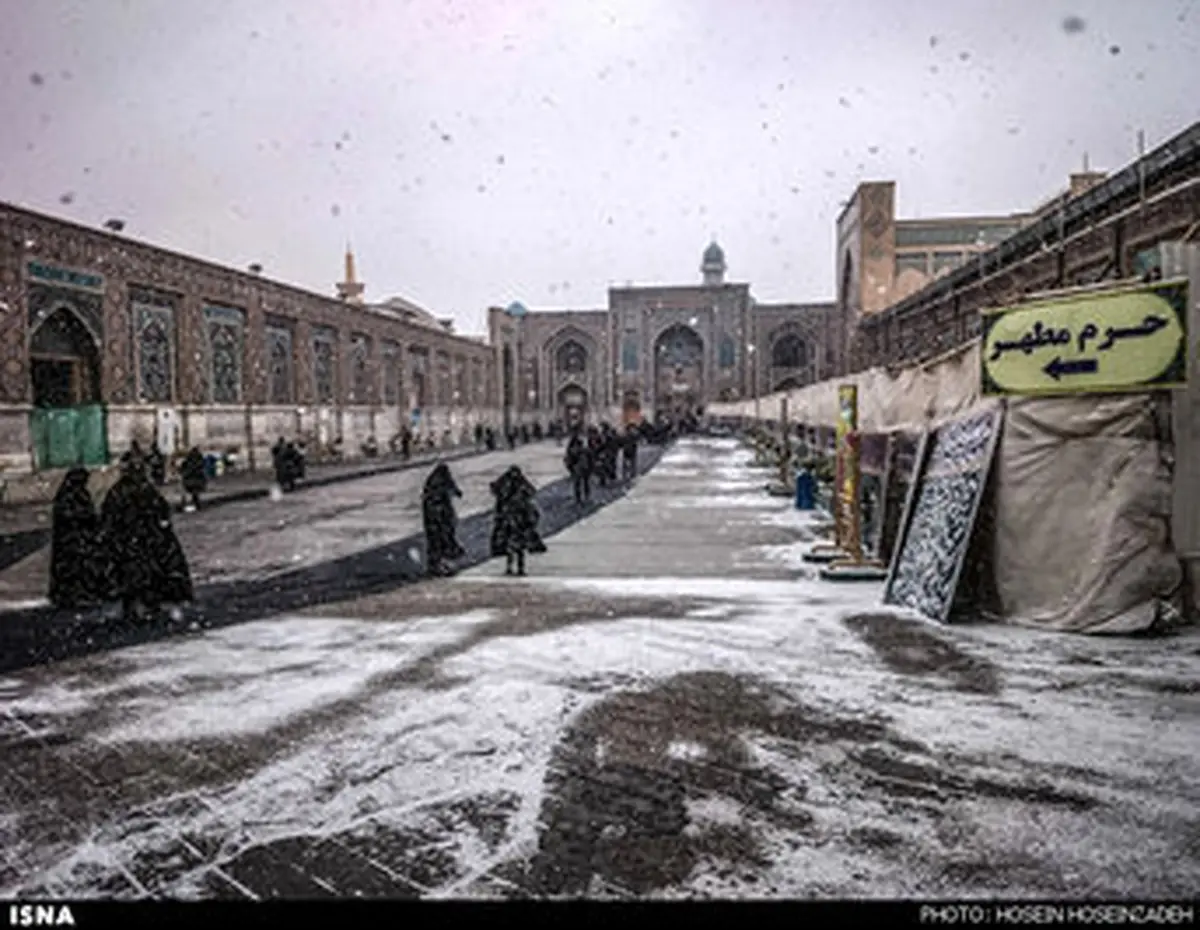 سفید پوش شدن حرم امام رضا(ع)/تصاویر