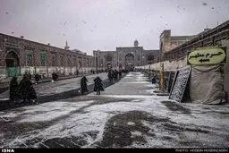 سفید پوش شدن حرم امام رضا(ع)/تصاویر