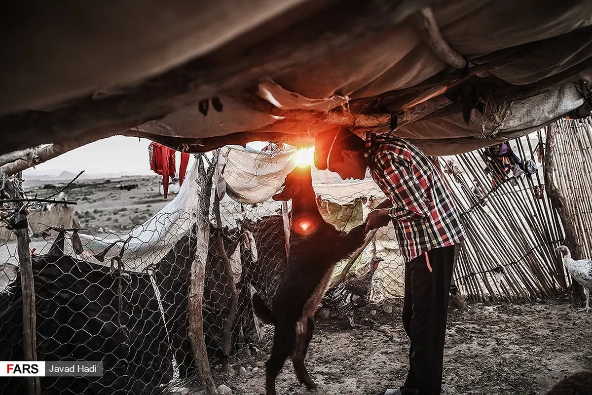 زندگی عشایر در خراسان شمالی/تصاویر