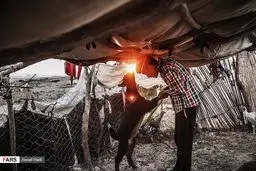 زندگی عشایر در خراسان شمالی/تصاویر