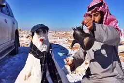 مردم عربستان؛ علیرغم فتوای حرام بودن از سوی مفتیان، آدم برفی ساختند +عکس