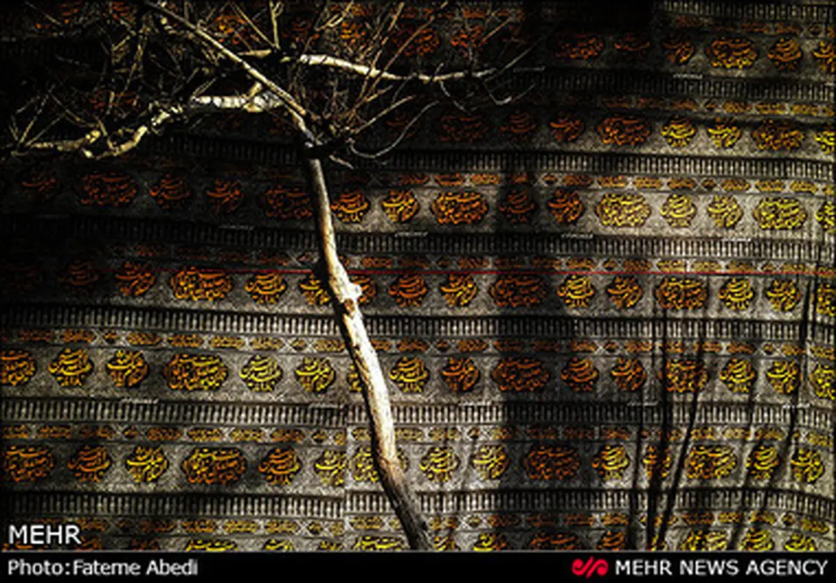 رنگ محرم/ تصاویر