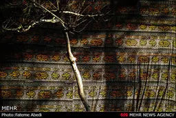 رنگ محرم/ تصاویر