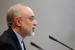 صالحی: با توجه به رفتار آمریکا تصمیم مقتضی را خواهیم گرفت